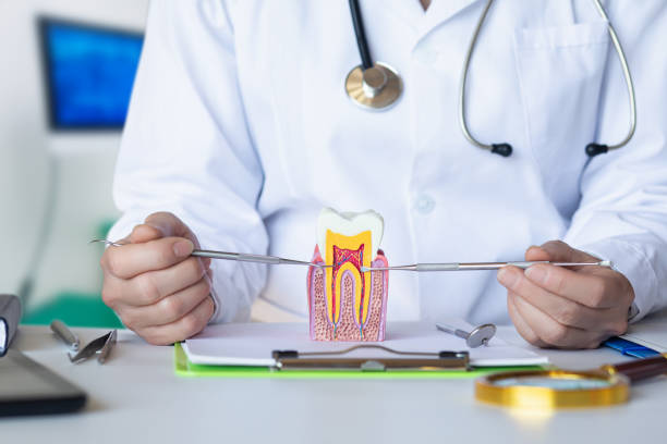 Best Emergency Dental Surgery in Oliver Springs, TN